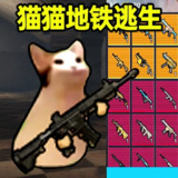 【游戏】《猫猫地铁逃生 》