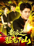 【短剧】都市之猛龙下山 (100集)