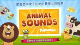 【安卓软件】《动物的叫声 soundofanimals_无广告.apk 》