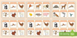 【安卓软件】《动物单词卡 Flashcards_for_Kids_v4_2 无联网版.apk 》