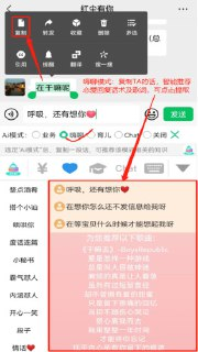 【软件】《销冠输入法 》