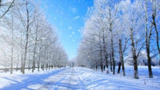 【软件】《下雪花屏保 2006.11.11 版.zip 》