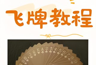 【电子书】飞牌教程，从零学习飞牌技巧，圆你童年飞牌梦