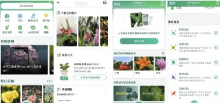 【软件】《PictureThis Plant Identifier 植物识别软件 v5.13.0 简洁无广告》