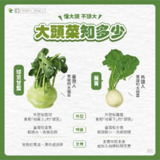 【游戏】《大头菜》