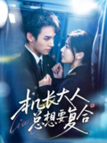【短剧】机长大人总想要复合（60集全集）郑舒环＆邢亦凌