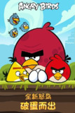 【软件】《愤怒的小鸟 v8.0.1》