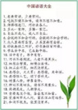 【软件】《谚语 中文版》