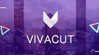 【安卓软件】《VivaCut视频编辑 4.3.8专业版.apk》