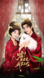【短剧】嘘暴君是我掌上犬&废妃逆袭陛下借宠识真心（40集全集）包金妮&宋益凡