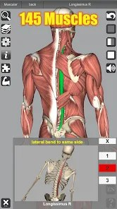 【安卓软件】《3D Anatomy v6.8 (Patched).apk 》