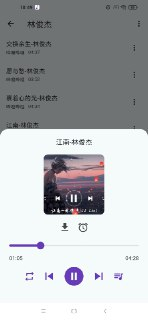 【安卓软件】《哔哔音乐 v1.0.2.apk 》