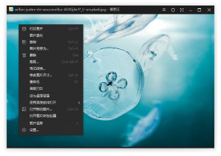【软件】《2345看图王_v13_3_0_12307去广告绿色纯净版.exe》