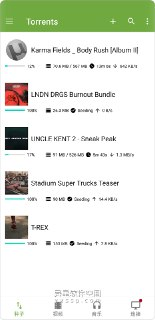 【软件】《BitTorrent Pro 种子磁力链接下载工具 v8.2.55》