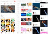【安卓软件】《堆糖壁纸_v8.57.2高级版.apk》