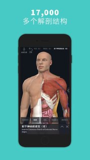 【安卓软件】《完整解剖学Complete Anatomy2022.apk》