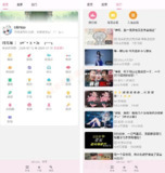 【软件】《Bilimiao v2.4.7 第三方B站客户端》
