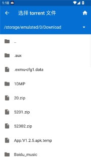 【软件】《磁力播放.zip》