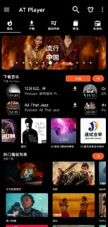 【软件】《AT Player 音乐下载器 v20250921》