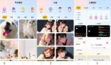 【软件】《龙凤壁纸v1.1纯净版》