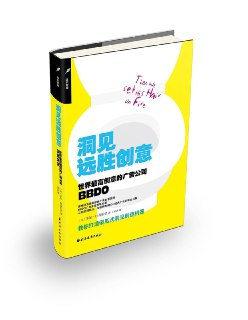 【电子书】【听书解读】《洞见远胜创意》