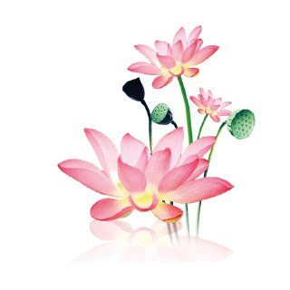 【安卓软件】《水墨工具箱 v1.2.0.apk》