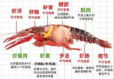 【软件】《虾看_1.2.1.zip》