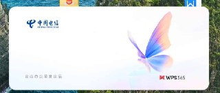 【软件】《WPS中国电信内部版(终身激活所有功能）》