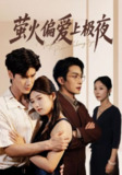 【短剧】萤火偏爱上极夜（71集全集）叶庭&高洁慧