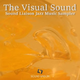 Various Artists - The Visual Sound - Sound Liaison Jazz Music Sampler 2019 SACD-R iso