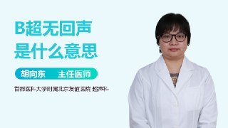 【游戏】《无意义的回声》