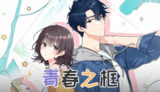 【游戏】《青春之框》