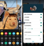 【软件】《抖音助手》