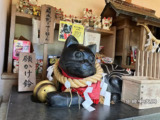 【游戏】《猫神》