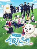 3年Z班银八老师(2025)1080p S01E01 内封简繁