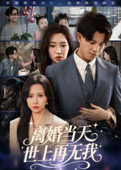 【短剧】离婚当天世上再无我（60集全集）董劭辉