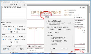 【软件】《发票闪印 -3.5.6绿色版.exe》