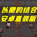 【安卓游戏】《以撒的结合v1.4.2（去广告直装版）.apk》