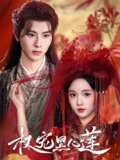 【短剧】权宠黑心莲（78集全集）一航&至春禾