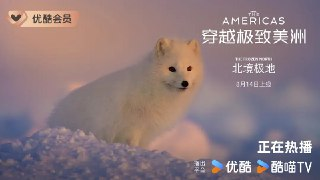穿越极致美洲 The Americas (2025)