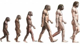 【游戏】《远古人类》