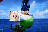 【游戏】《深海：即刻抉择/Deep Sea Build.4786895》