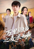 【短剧】万里归乡之麦浪无声（61集全集）朱碧漪&董星辰