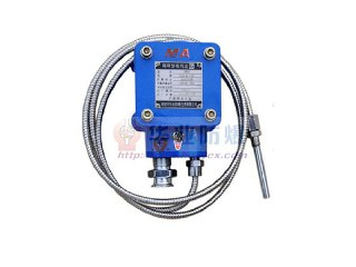 【游戏】《重Zqian哨 v20241226 xg器》