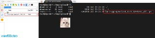【安卓软件】《GKD_1.11.0-beta.1.apk》