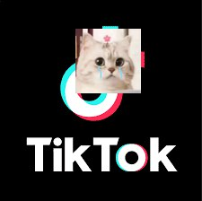 【安卓软件】《TikTok_41.9.3.apk》