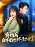 【短剧】离婚后，白月光她终于出手了（80集全集）尹一博＆董佳妮