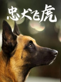 【短剧】忠犬飞虎（33集全集）吴桂洲&谭镁纶