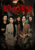 【短剧】暗夜逢星（67集全集）王泽轩&陈墁柯