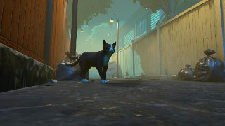 【游戏】《冒牌猫谜 v1.0.6》